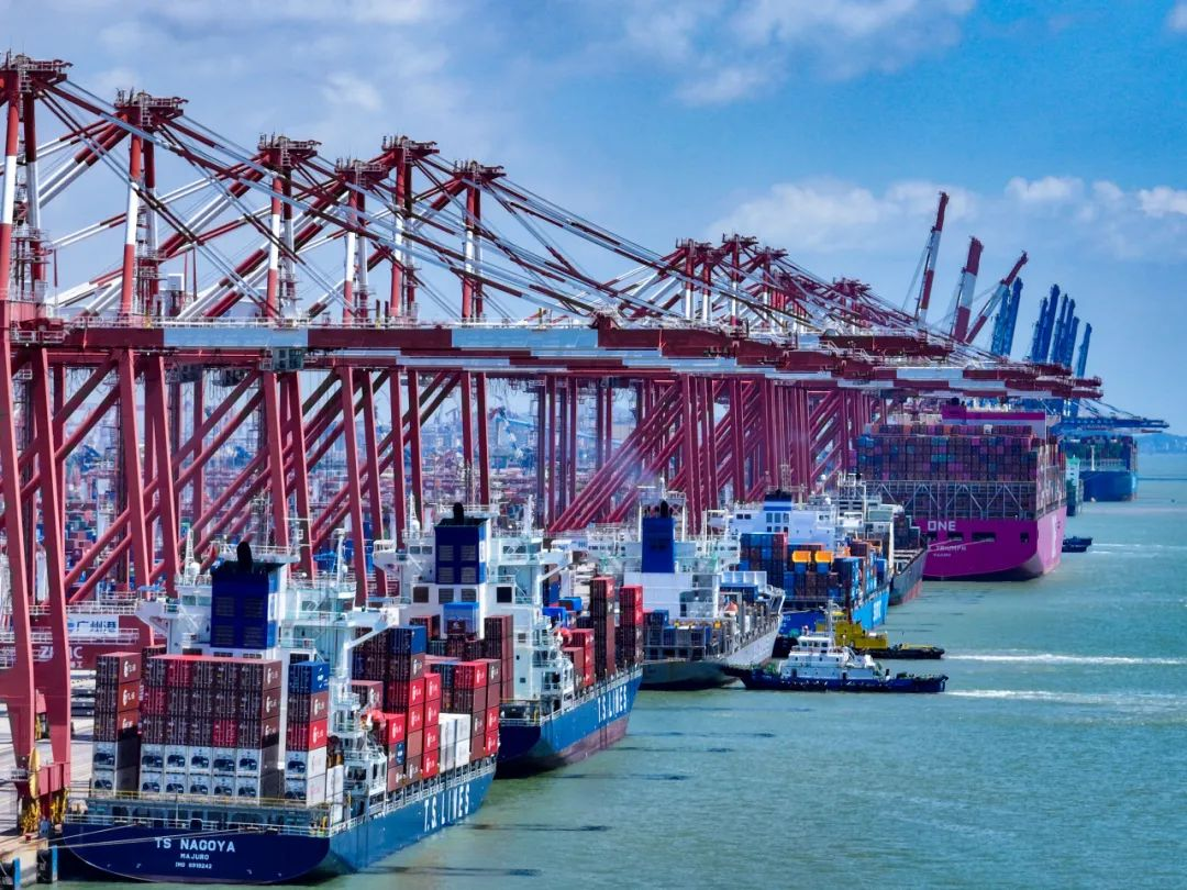 海运费反弹只是暂时征象，海运价钱还会再跌