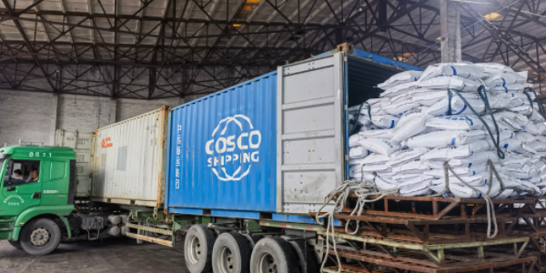 ?有机肥料可以走集装箱海运吗，需要注重什么？？