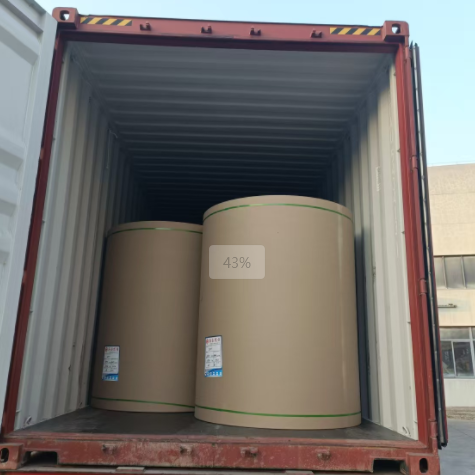 原木卷纸、纸张可以走集装箱海运吗，需要注重什么？？