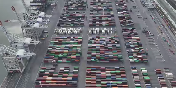 抖圈-为du而生官网入口