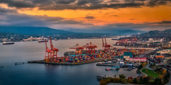 抖圈-为du而生官网入口