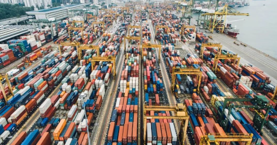 抖圈-为du而生官网入口