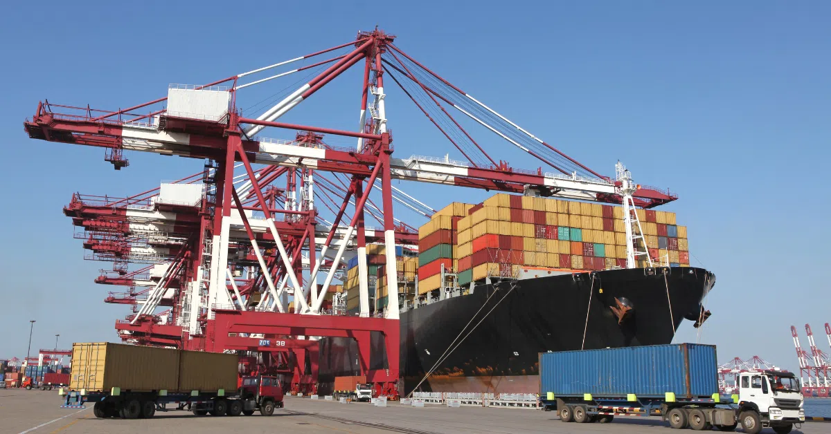 抖圈-为du而生官网入口