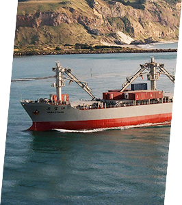 抖圈-为du而生官网入口